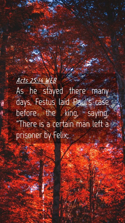 Picture 04 - Acts 25:14 WEB Mobile Phone Wallpaper - As he stayed there many days, Festus laid Paul's - Mobile Bible Verse Wallpaper