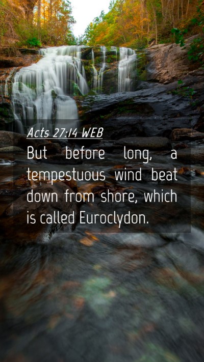 Picture 04 - Acts 27:14 WEB Mobile Phone Wallpaper - But before long, a tempestuous wind beat down - Mobile Bible Verse Wallpaper