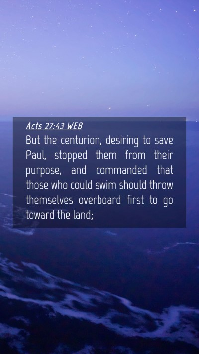 Picture 04 - Acts 27:43 WEB Mobile Phone Wallpaper - But the centurion, desiring to save Paul, stopped - Mobile Bible Verse Wallpaper