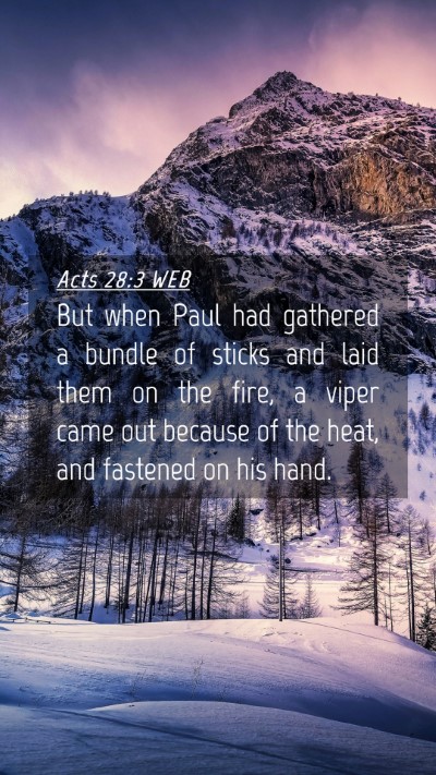 Picture 04 - Acts 28:3 WEB Mobile Phone Wallpaper - But when Paul had gathered a bundle of sticks and - Mobile Bible Verse Wallpaper