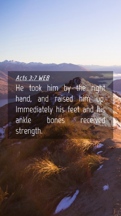 Picture 04 - Acts 3:7 WEB Mobile Phone Wallpaper - He took him by the right hand, and raised him up. - Mobile Bible Verse Wallpaper