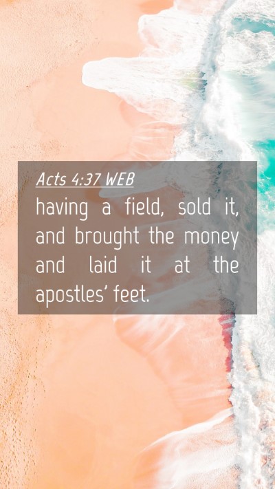 Picture 04 - Acts 4:37 WEB Mobile Phone Wallpaper - having a field, sold it, and brought the money - Mobile Bible Verse Wallpaper