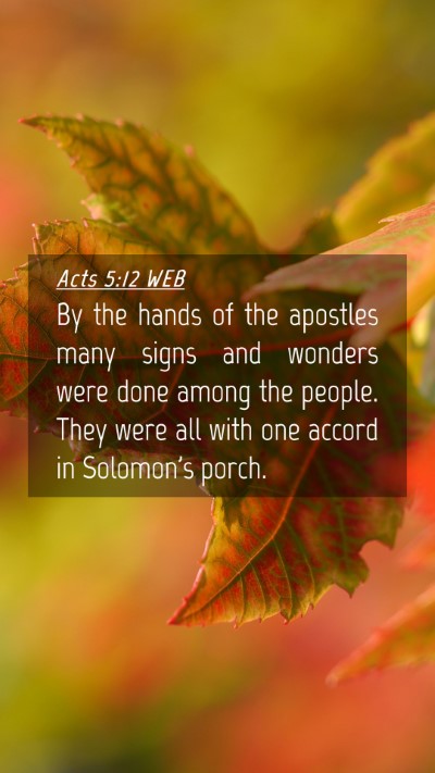 Picture 04 - Acts 5:12 WEB Mobile Phone Wallpaper - By the hands of the apostles many signs and - Mobile Bible Verse Wallpaper
