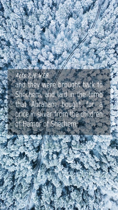 Picture 04 - Acts 7:16 WEB Mobile Phone Wallpaper - and they were brought back to Shechem, and laid - Mobile Bible Verse Wallpaper