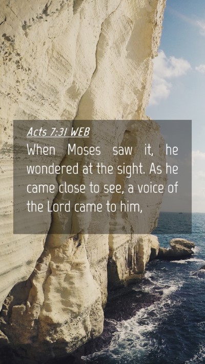 Picture 04 - Acts 7:31 WEB Mobile Phone Wallpaper - When Moses saw it, he wondered at the sight. As - Mobile Bible Verse Wallpaper
