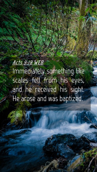 Picture 04 - Acts 9:18 WEB Mobile Phone Wallpaper - Immediately something like scales fell from his - Mobile Bible Verse Wallpaper