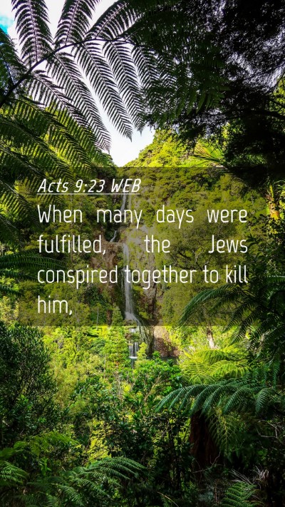 Picture 04 - Acts 9:23 WEB Mobile Phone Wallpaper - When many days were fulfilled, the Jews conspired - Mobile Bible Verse Wallpaper