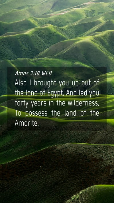 Picture 04 - Amos 2:10 WEB Mobile Phone Wallpaper - Also I brought you up out of the land of Egypt, - Mobile Bible Verse Wallpaper