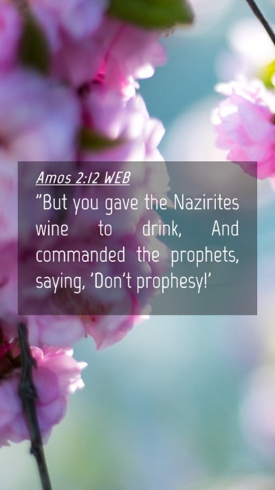 Picture 04 - Amos 2:12 WEB Mobile Phone Wallpaper - 
