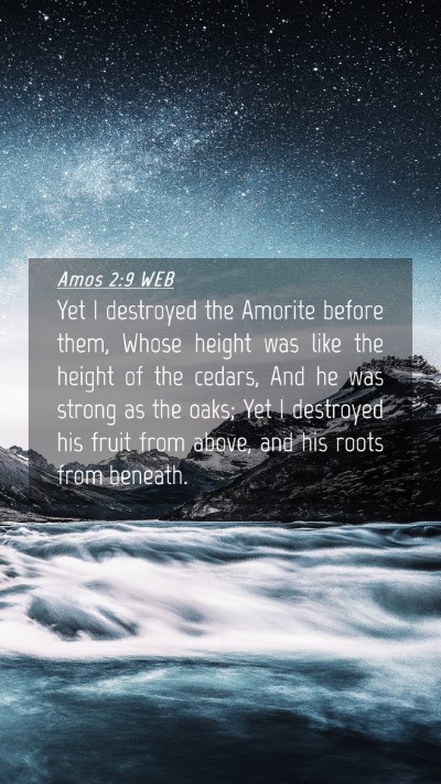 Picture 04 - Amos 2:9 WEB Mobile Phone Wallpaper - Yet I destroyed the Amorite before them, Whose - Mobile Bible Verse Wallpaper
