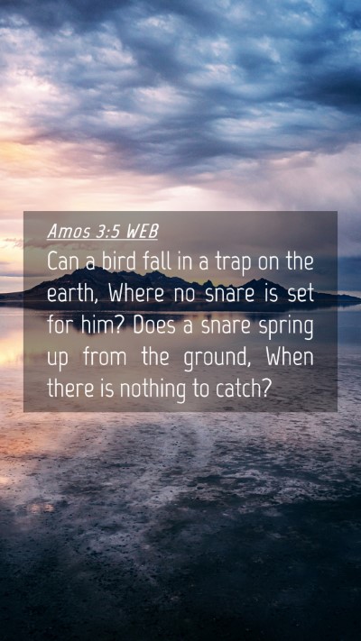 Picture 04 - Amos 3:5 WEB Mobile Phone Wallpaper - Can a bird fall in a trap on the earth, Where no - Mobile Bible Verse Wallpaper