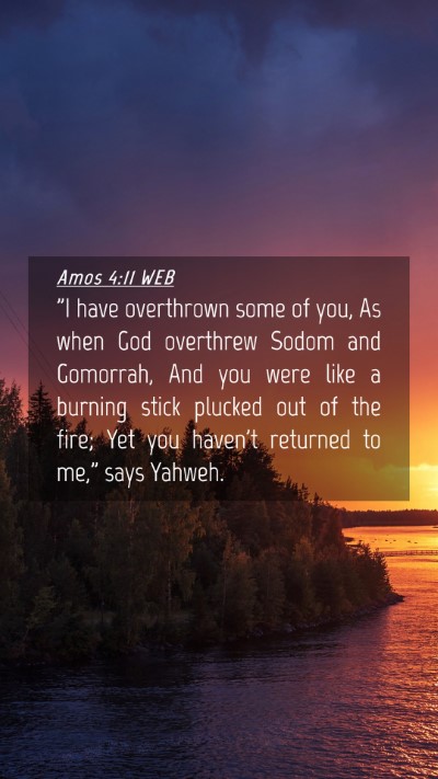 Picture 04 - Amos 4:11 WEB Mobile Phone Wallpaper - 