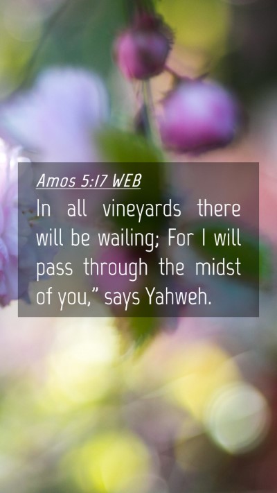 Picture 04 - Amos 5:17 WEB Mobile Phone Wallpaper - In all vineyards there will be wailing; For I - Mobile Bible Verse Wallpaper