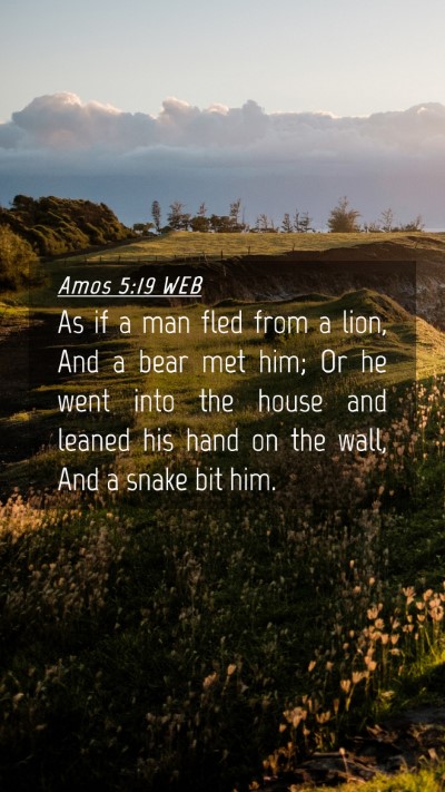 Picture 04 - Amos 5:19 WEB Mobile Phone Wallpaper - As if a man fled from a lion, And a bear met him; - Mobile Bible Verse Wallpaper
