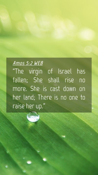Picture 04 - Amos 5:2 WEB Mobile Phone Wallpaper - 