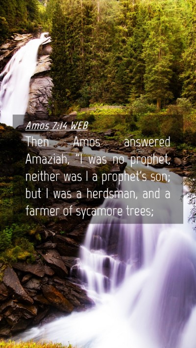 Picture 04 - Amos 7:14 WEB Mobile Phone Wallpaper - Then Amos answered Amaziah,
