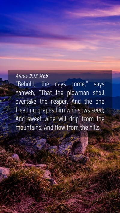 Picture 04 - Amos 9:13 WEB Mobile Phone Wallpaper - 