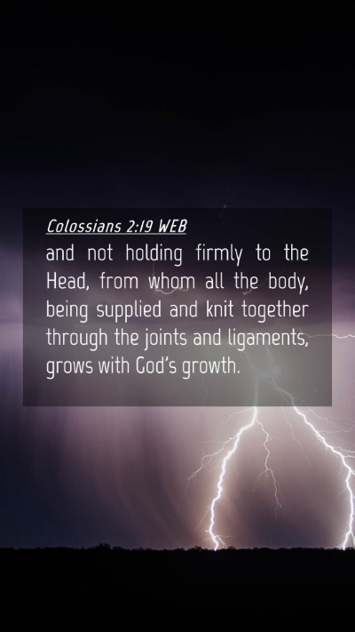 Picture 04 - Colossians 2:19 WEB Mobile Phone Wallpaper - and not holding firmly to the Head, from whom all - Mobile Bible Verse Wallpaper
