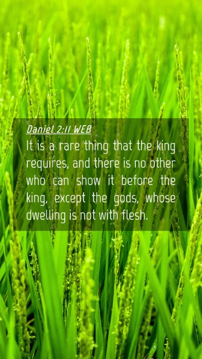 Picture 04 - Daniel 2:11 WEB Mobile Phone Wallpaper - It is a rare thing that the king requires, and - Mobile Bible Verse Wallpaper