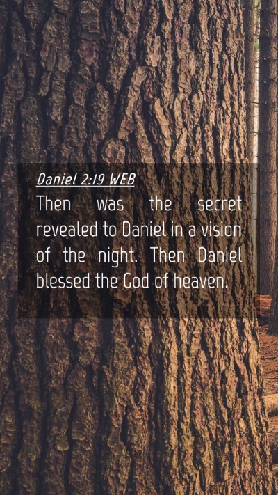 Picture 04 - Daniel 2:19 WEB Mobile Phone Wallpaper - Then was the secret revealed to Daniel in a - Mobile Bible Verse Wallpaper