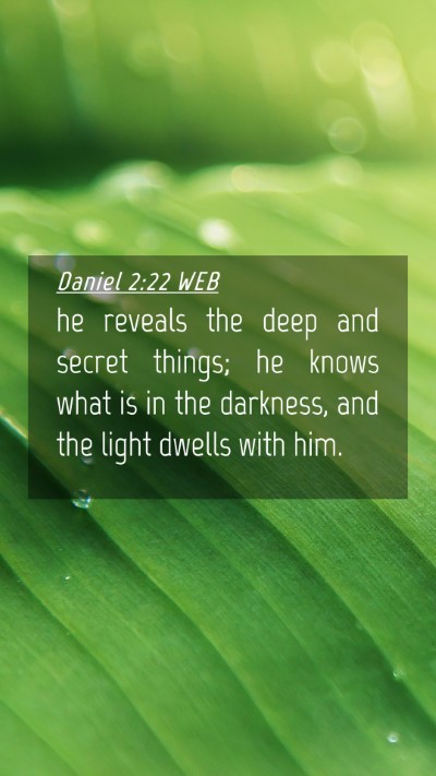 Picture 04 - Daniel 2:22 WEB Mobile Phone Wallpaper - he reveals the deep and secret things; he knows - Mobile Bible Verse Wallpaper