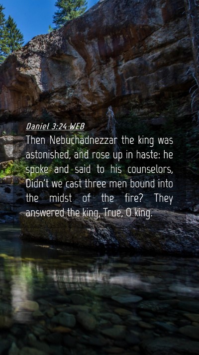 Picture 04 - Daniel 3:24 WEB Mobile Phone Wallpaper - Then Nebuchadnezzar the king was astonished, and - Mobile Bible Verse Wallpaper