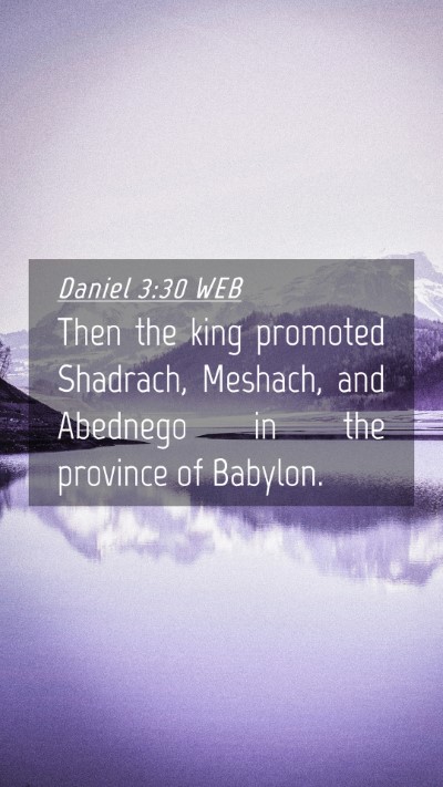 Picture 04 - Daniel 3:30 WEB Mobile Phone Wallpaper - Then the king promoted Shadrach, Meshach, and - Mobile Bible Verse Wallpaper