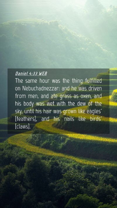 Picture 04 - Daniel 4:33 WEB Mobile Phone Wallpaper - The same hour was the thing fulfilled on - Mobile Bible Verse Wallpaper