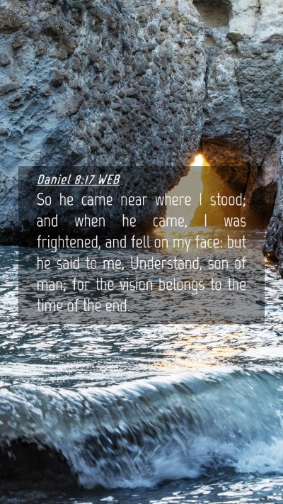Picture 04 - Daniel 8:17 WEB Mobile Phone Wallpaper - So he came near where I stood; and when he came, - Mobile Bible Verse Wallpaper