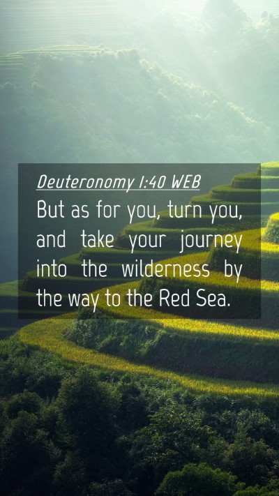 Picture 04 - Deuteronomy 1:40 WEB Mobile Phone Wallpaper - But as for you, turn you, and take your journey - Mobile Bible Verse Wallpaper