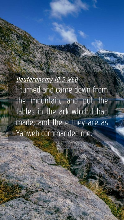 Picture 04 - Deuteronomy 10:5 WEB Mobile Phone Wallpaper - I turned and came down from the mountain, and put - Mobile Bible Verse Wallpaper