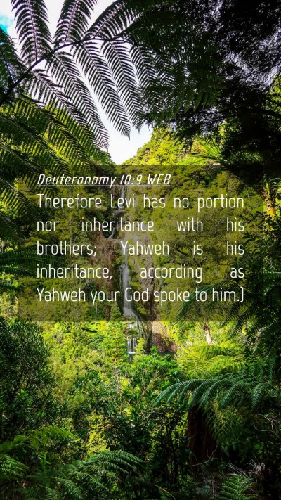 Picture 04 - Deuteronomy 10:9 WEB Mobile Phone Wallpaper - Therefore Levi has no portion nor inheritance - Mobile Bible Verse Wallpaper