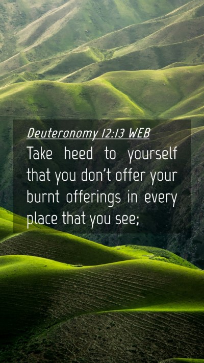 Picture 04 - Deuteronomy 12:13 WEB Mobile Phone Wallpaper - Take heed to yourself that you don't offer your - Mobile Bible Verse Wallpaper