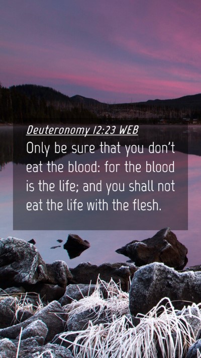 Picture 04 - Deuteronomy 12:23 WEB Mobile Phone Wallpaper - Only be sure that you don't eat the blood: for - Mobile Bible Verse Wallpaper