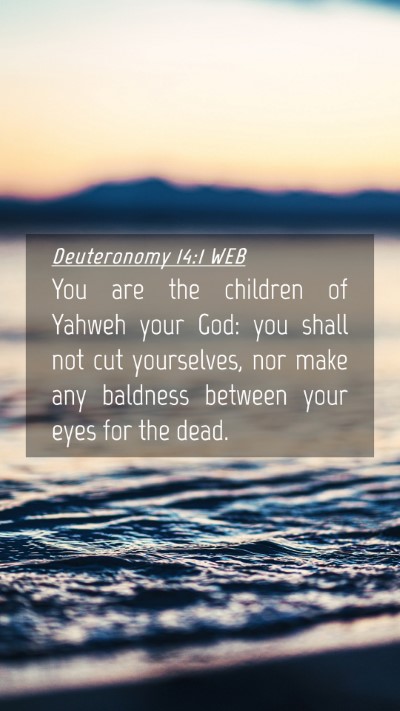Picture 04 - Deuteronomy 14:1 WEB Mobile Phone Wallpaper - You are the children of Yahweh your God: you - Mobile Bible Verse Wallpaper