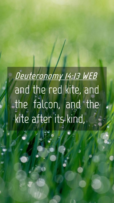 Picture 04 - Deuteronomy 14:13 WEB Mobile Phone Wallpaper - and the red kite, and the falcon, and the kite - Mobile Bible Verse Wallpaper