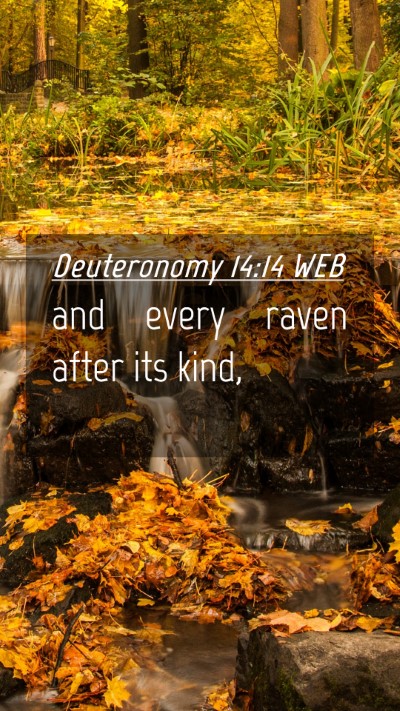 Picture 04 - Deuteronomy 14:14 WEB Mobile Phone Wallpaper - and every raven after its - Mobile Bible Verse Wallpaper