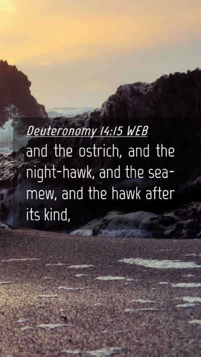 Picture 04 - Deuteronomy 14:15 WEB Mobile Phone Wallpaper - and the ostrich, and the night-hawk, and the - Mobile Bible Verse Wallpaper