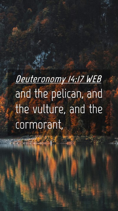 Picture 04 - Deuteronomy 14:17 WEB Mobile Phone Wallpaper - and the pelican, and the vulture, and the - Mobile Bible Verse Wallpaper