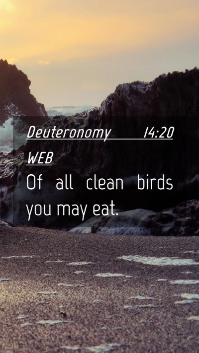 Picture 04 - Deuteronomy 14:20 WEB Mobile Phone Wallpaper - Of all clean birds you may - Mobile Bible Verse Wallpaper