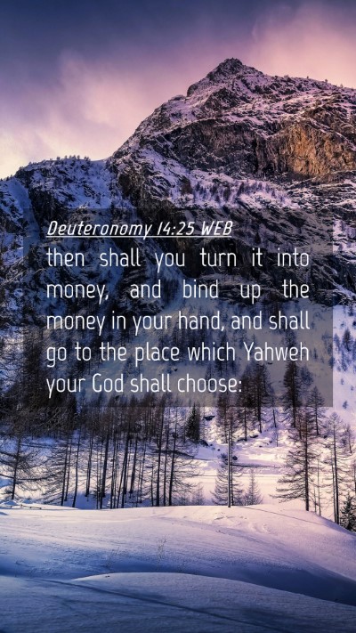 Picture 04 - Deuteronomy 14:25 WEB Mobile Phone Wallpaper - then shall you turn it into money, and bind up - Mobile Bible Verse Wallpaper