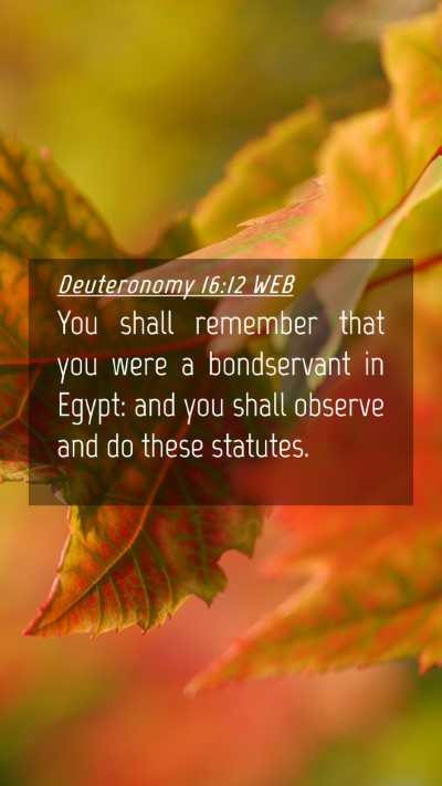 Picture 04 - Deuteronomy 16:12 WEB Mobile Phone Wallpaper - You shall remember that you were a bondservant in - Mobile Bible Verse Wallpaper
