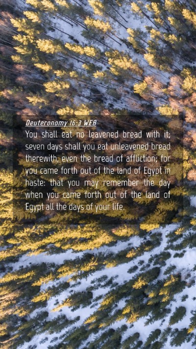 Picture 04 - Deuteronomy 16:3 WEB Mobile Phone Wallpaper - You shall eat no leavened bread with it; seven - Mobile Bible Verse Wallpaper