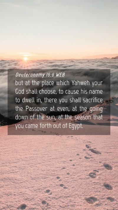 Picture 04 - Deuteronomy 16:6 WEB Mobile Phone Wallpaper - but at the place which Yahweh your God shall - Mobile Bible Verse Wallpaper
