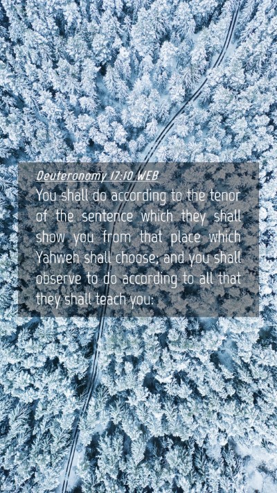Picture 04 - Deuteronomy 17:10 WEB Mobile Phone Wallpaper - You shall do according to the tenor of the - Mobile Bible Verse Wallpaper