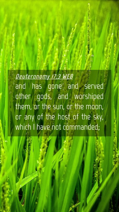 Picture 04 - Deuteronomy 17:3 WEB Mobile Phone Wallpaper - and has gone and served other gods, and worshiped - Mobile Bible Verse Wallpaper