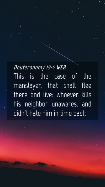 Picture 04 - Deuteronomy 19:4 WEB Mobile Phone Wallpaper - This is the case of the manslayer, that shall - Mobile Bible Verse Wallpaper