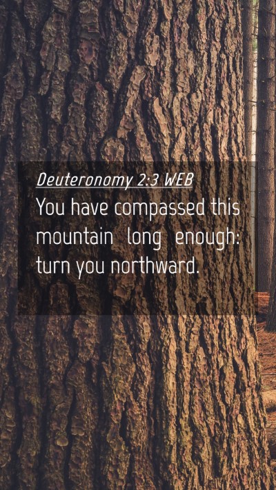 Picture 04 - Deuteronomy 2:3 WEB Mobile Phone Wallpaper - You have compassed this mountain long enough: - Mobile Bible Verse Wallpaper