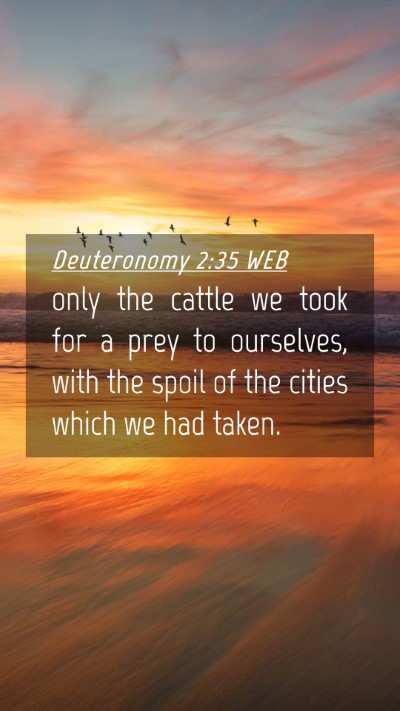 Picture 04 - Deuteronomy 2:35 WEB Mobile Phone Wallpaper - only the cattle we took for a prey to ourselves, - Mobile Bible Verse Wallpaper