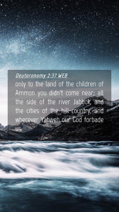 Picture 04 - Deuteronomy 2:37 WEB Mobile Phone Wallpaper - only to the land of the children of Ammon you - Mobile Bible Verse Wallpaper